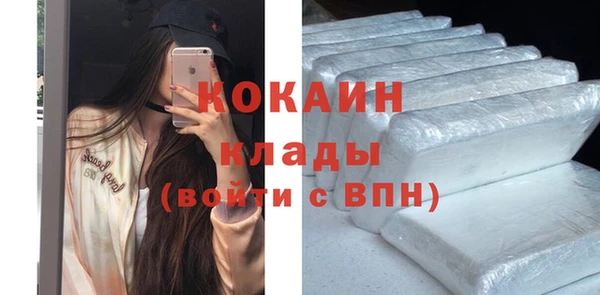 mdpv Богородицк