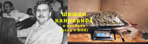 mdpv Богородицк