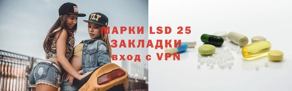 mdpv Богородицк
