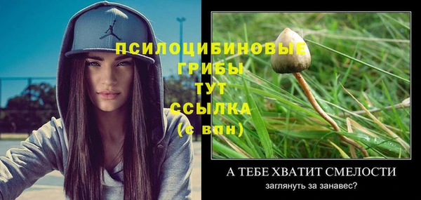 герыч Богородск