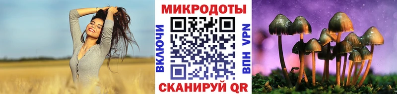 Псилоцибиновые грибы мицелий  Топки 
